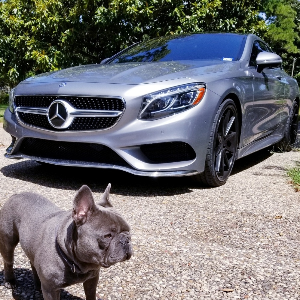 Meet your Posher, Dree